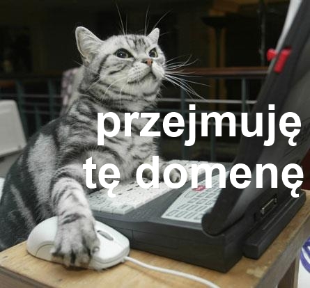 przejmuje te domene - skibski.pl